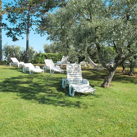 Linearis E By Interhome